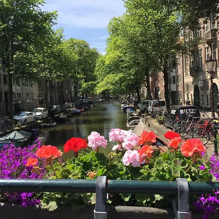 In By Rijks Museum