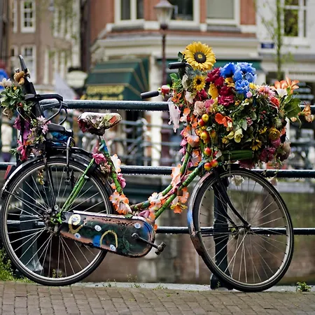 In By Rijks Museum *